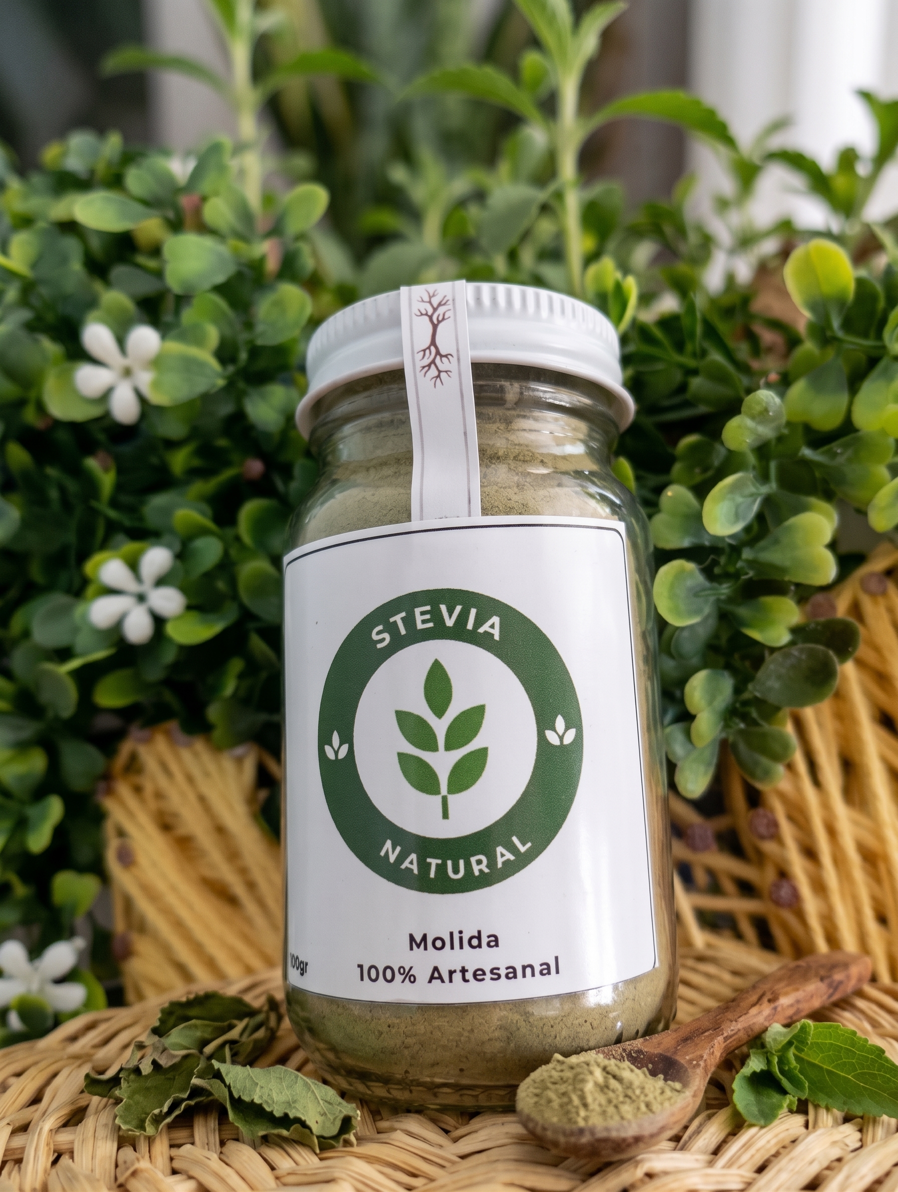 Stevia Natural